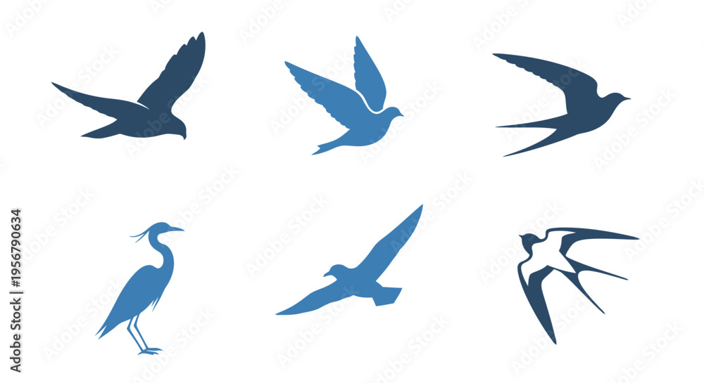 Obraz premium Silhouettes of various birds in flight and perched showcasing different species