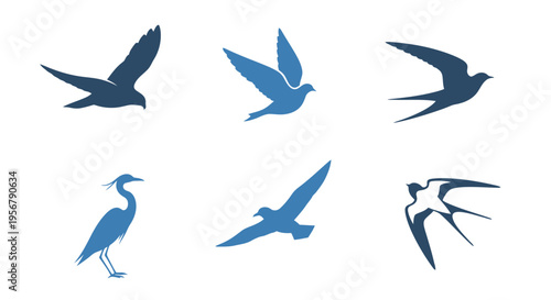 Silhouettes of various birds in flight and perched showcasing different species