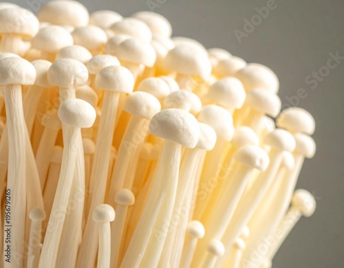 close up of a enoki mushroom