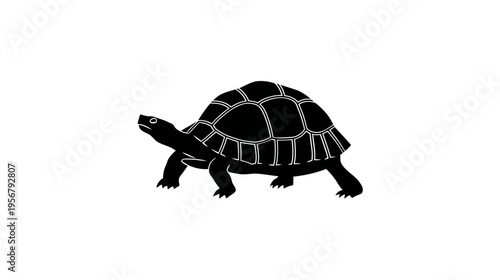 Black and white illustration of a turtle with a patterned shell on a white background