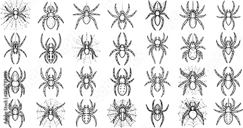 Spiders Vector Set: Diverse Black and White Spider Illustrations