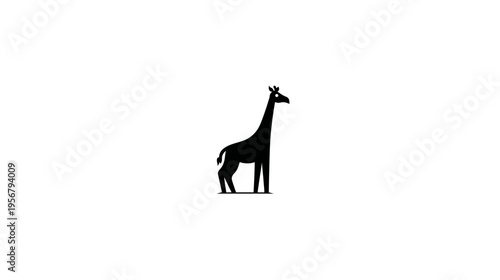 A silhouette of a giraffe, facing right, with a long neck and short horns. It stands on a line