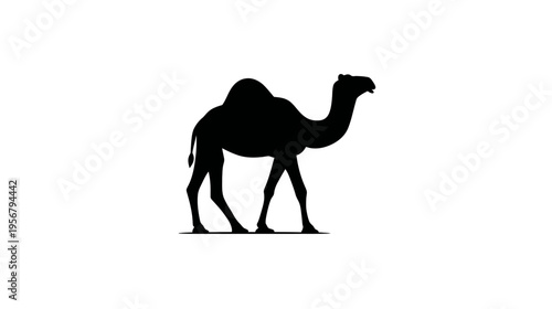 A black silhouette of a camel walking on a flat surface, against a plain white background