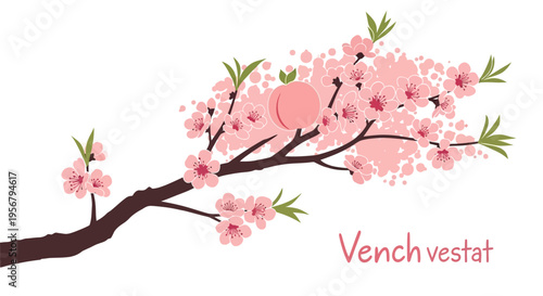 Pink flowers on a branch.