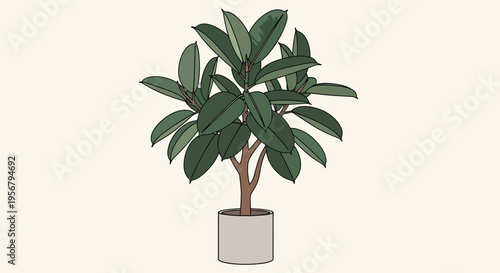 Potted Plant with Green Leaves.