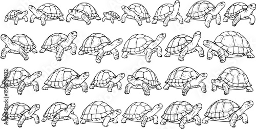 Turtle Time: Hand-Drawn Line Art Pattern Featuring Diverse Turtles