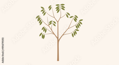 Small tree with green leaves growing 1.