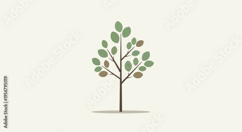 Small tree with green leaves growing 2.