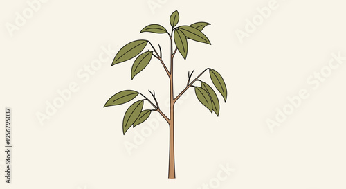 Small tree with green leaves growing.