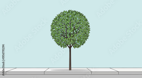 Tree standing alone in urban area.