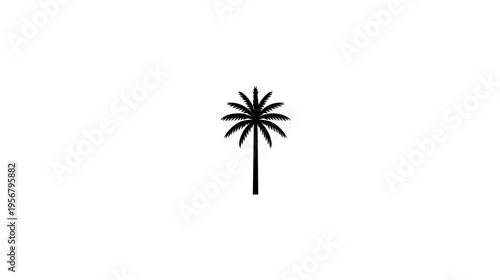 A black silhouette of a palm tree in the center of a white background
