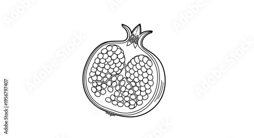 Detailed black and white line art illustration of a halved pomegranate fruit, showing seeds and arils. Healthy organic food drawing.