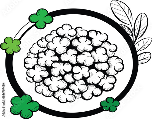 Floral circular frame with cauliflower bloom and green clover leaves in hand drawn line art vector