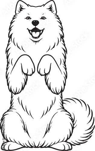 Samoyed Sitting Beg Pose Front View Black and White Line Art Illustration