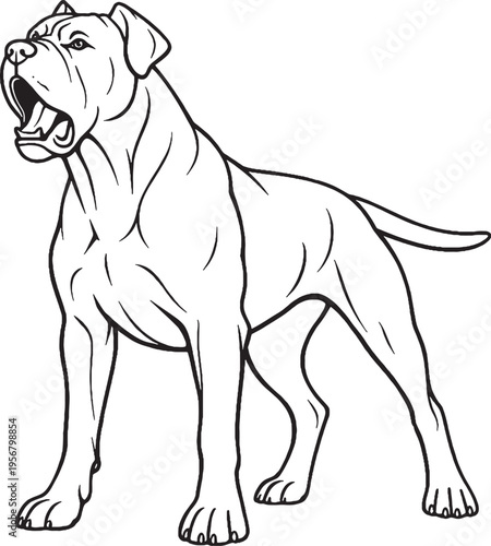 Cane Corso barking alert stance black and white line art illustration