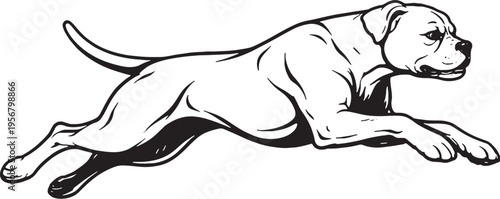 Boxer Dog Jumping Mid Air Side View Black and White Line Art