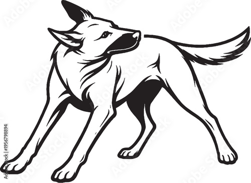 Belgian Malinois shaking water full body shake black and white line art illustration
