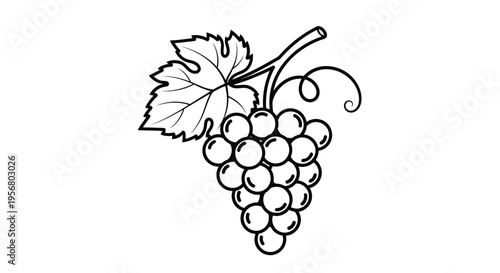 Simple black and white line art vector illustration of a sweet grape bunch with a single green leaf and curly tendril design on a white background.