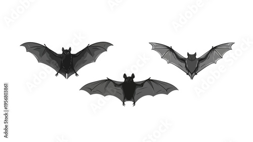 Three black flying bats isolated on a white background, nocturnal mammal illustration for Halloween design or wildlife concepts