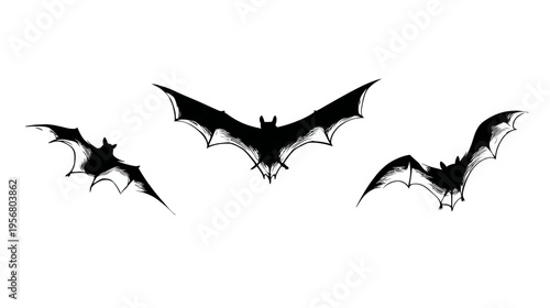 Set of three flying bat silhouettes illustration. Hand-drawn spooky nocturnal animal graphic for Halloween and creepy designs on white background.