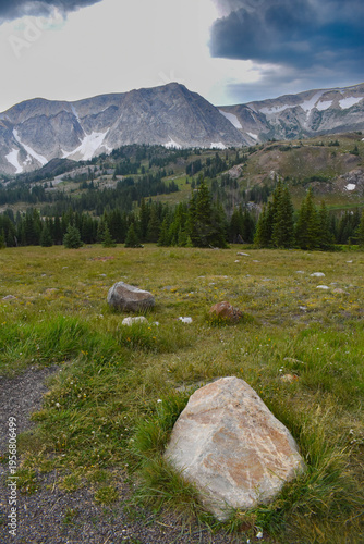 Vista of the mountains and forest from Medicine Bow-Routt National Forest in Wyoming, USA