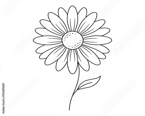 Simple daisy flower with stem and leaf in outline sketch style