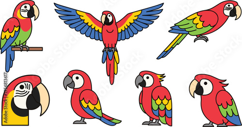 Colorful parrot bird character set with macaw poses flying perched and standing tropical wildlife elements isolated on white background vector illustration