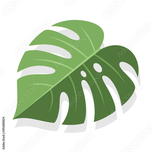 A stylized illustration of a vibrant green Monstera leaf with characteristic fenestrations.