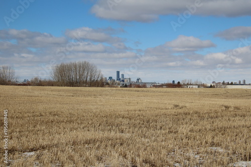 Wallpaper Mural field of wheat and sky Torontodigital.ca
