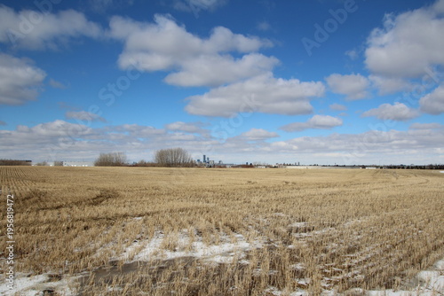 Wallpaper Mural wheat field in spring Torontodigital.ca