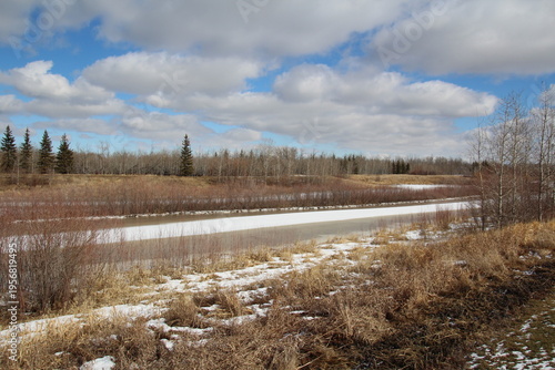 Wallpaper Mural Lake In The Forest Torontodigital.ca
