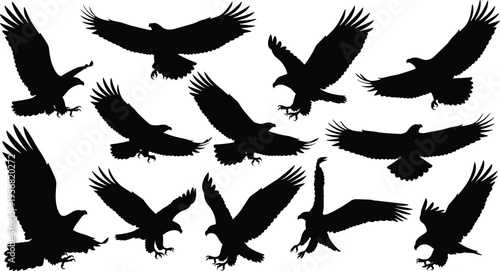 Eagle silhouettes collection in various flying and landing poses isolated on white background, bird of prey set, wildlife, hunting and freedom concept illustration