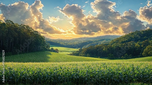 Sunlit cornfield and rolling green hills framed by dense forest beneath dramatic golden clouds at golden hour, peaceful rural panorama