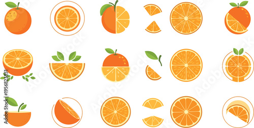 Fresh Orange Fruit Vector Set Featuring Whole, Sliced, Half, and Segmented Citrus Illustrations for Healthy Food, Juice, and Organic Design Projects