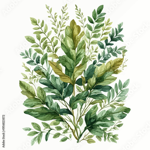 Nature Design Very Cool