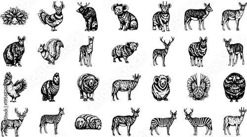 Black and White Hand-drawn Animal Illustrations Set. Vintage Engraving Style Collection of Wildlife, Forest, and Farm Mammals and Birds Sketches.
