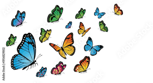 Colorful butterflies flying in air.