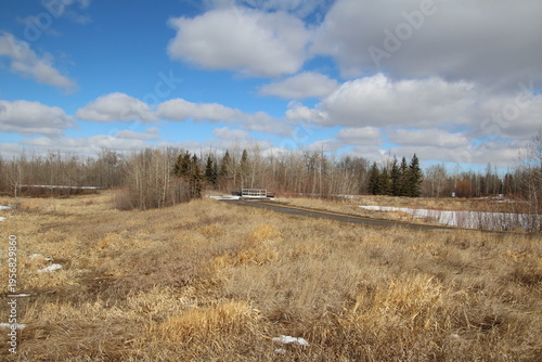 Wallpaper Mural Edge Of The Forest Torontodigital.ca