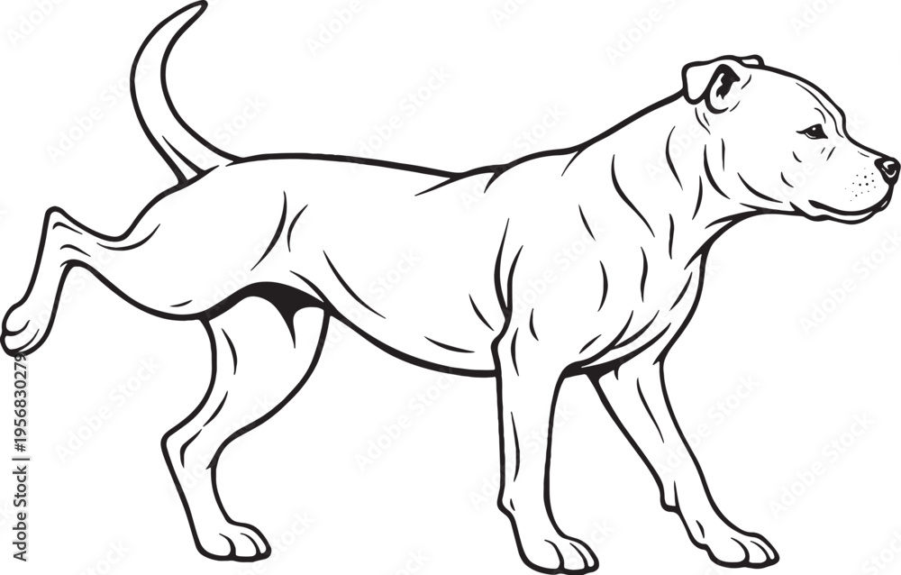 Fototapeta premium Staffordshire Bull Terrier Marking Territory Leg Lift Black and White Line Art Vector