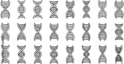 Hand-Drawn DNA Double Helix Structures Set - Sketchy Genetic Code Illustrations for Science, Medicine  Biology Concepts