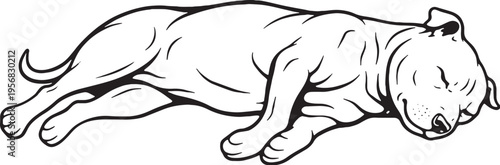 Staffordshire Bull Terrier Sleeping on Side Relaxed Black and White Vector