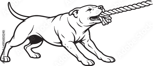 Staffordshire Bull Terrier Tugging Rope Pull Stance Black and White Line Art Vector