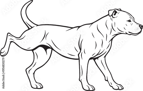 Staffordshire Bull Terrier Marking Territory Leg Lift Black and White Line Art Vector