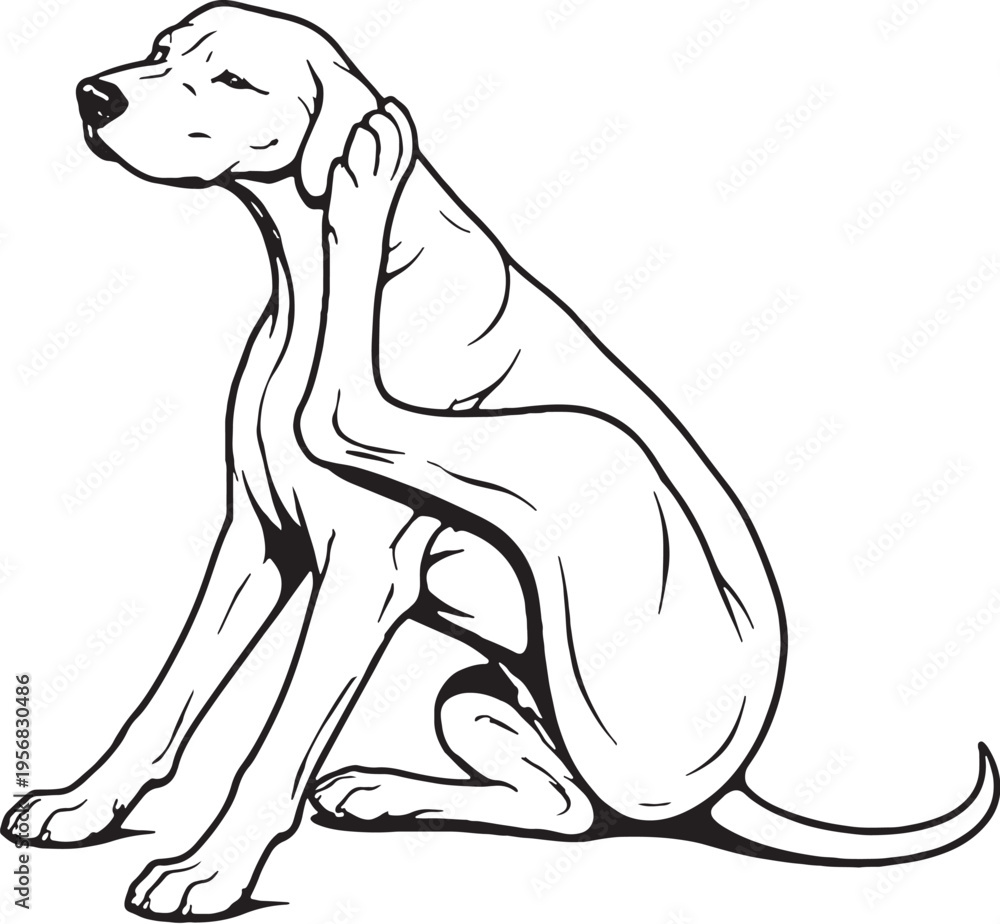 Obraz premium Great Dane Scratching Ear Sitting Pose Black and White Line Art Illustration