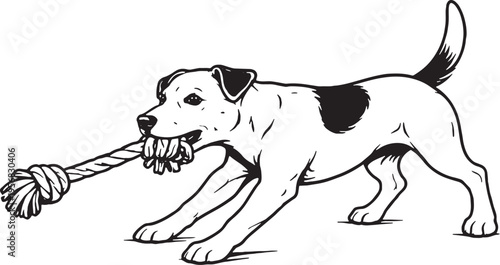 Jack Russell Terrier Tugging Rope Pull Stance Black and White Line Art Illustration