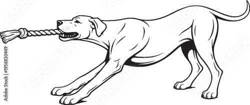 Great Dane Tugging Rope Pull Stance Black and White Line Art Illustration