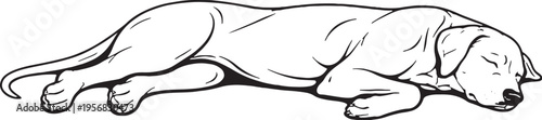 Great Dane Sleeping on Side Relaxed Pose Black and White Line Art Illustration