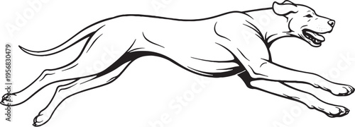 Great Dane Running Sprint Side View Black and White Line Art Illustration
