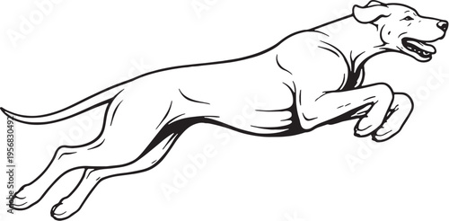 Great Dane Jumping Mid Air Side View Black and White Line Art Illustration