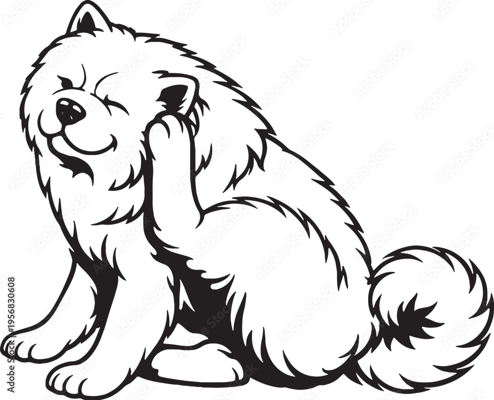 Fototapeta premium Chow Chow scratching ear sitting pose black and white line art illustration